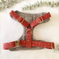 The 'Riley' Chest Harness