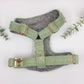 The 'Frankie' Chest Harness