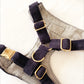 The 'Denver' Chest Harness