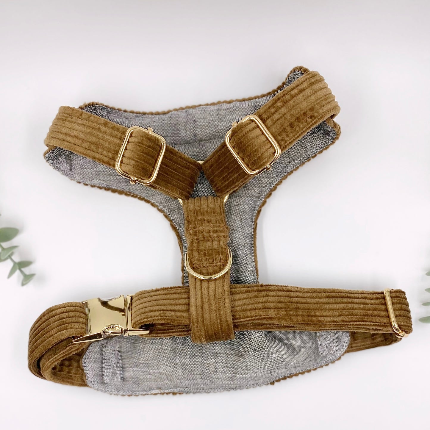 The 'Teddy' Chest Harness Bundle
